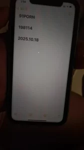 新手验证夫妻